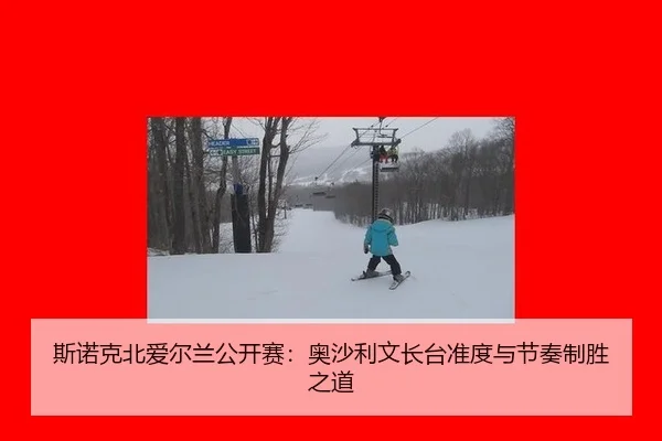 si-nuo-ke-bei-ai-er-lan-gong-kai-sai-ao-sha-li-wen-zhang-tai-zhun-du-yu-jie-zou-zhi-sheng-zhi-dao-2-333.jpg